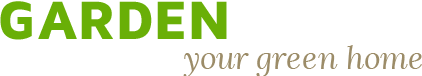 Penn Tree Services